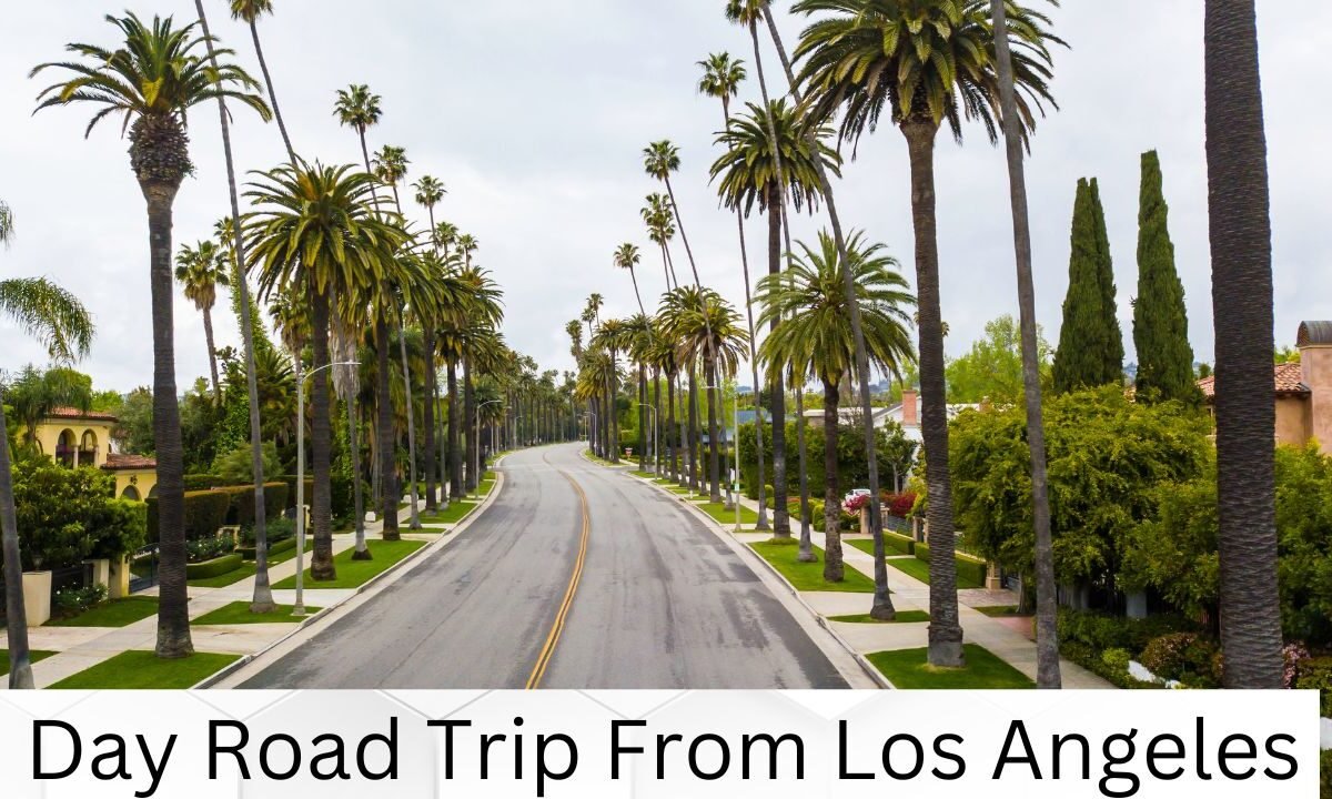 5 Day Road Trip From Los Angeles