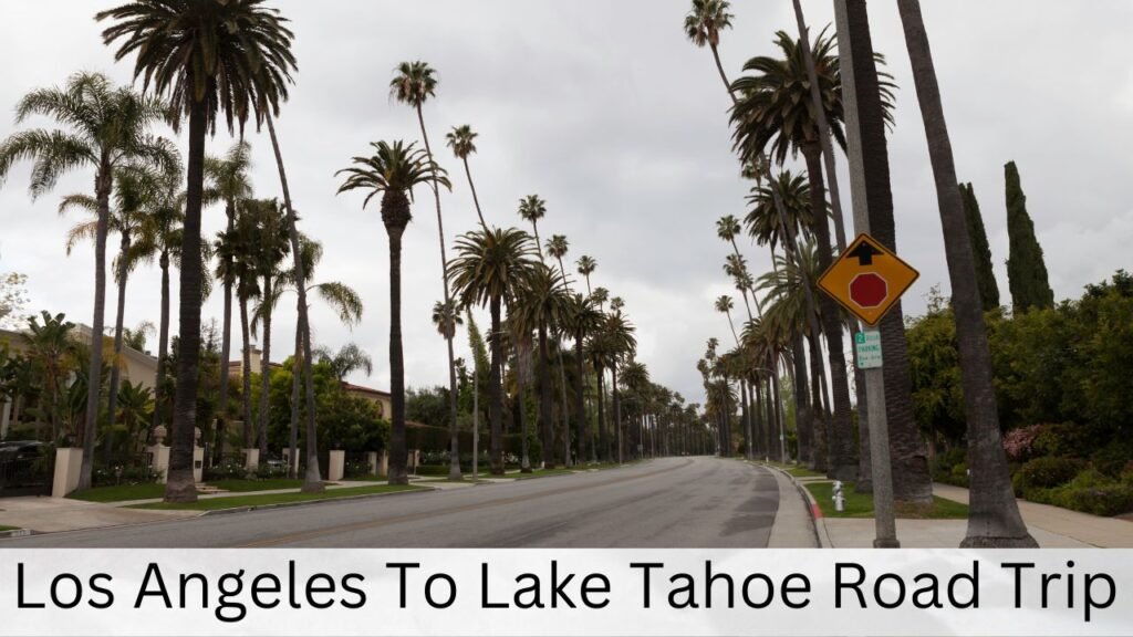 Los Angeles To Lake Tahoe Road Trip