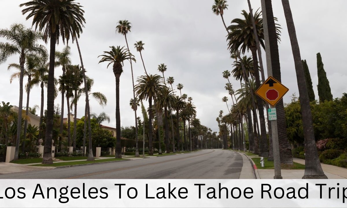 Los Angeles To Lake Tahoe Road Trip