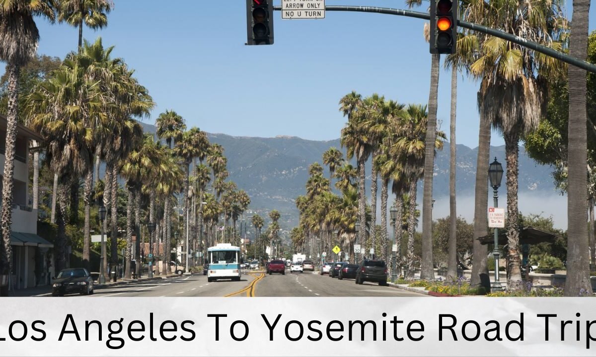 Los Angeles To Yosemite Road Trip